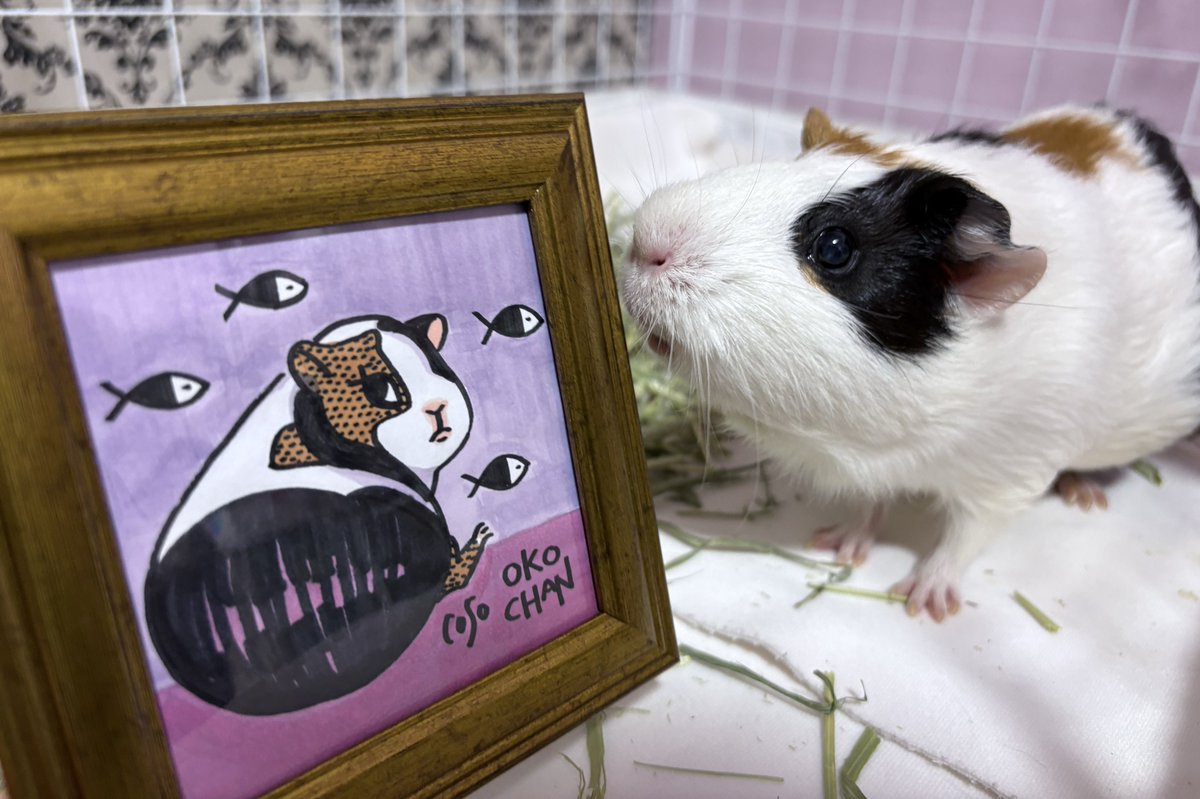 ❁KOOCHAN❁❁ ふじいちゃん on X