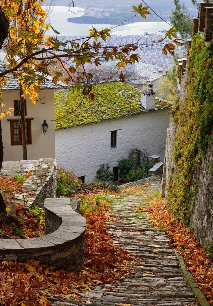 PapamihailMaria's tweet image. Ή Ελλάδα πού αγαπάμε 🇬🇷📌 
Μαγνησία 🇬🇷📌