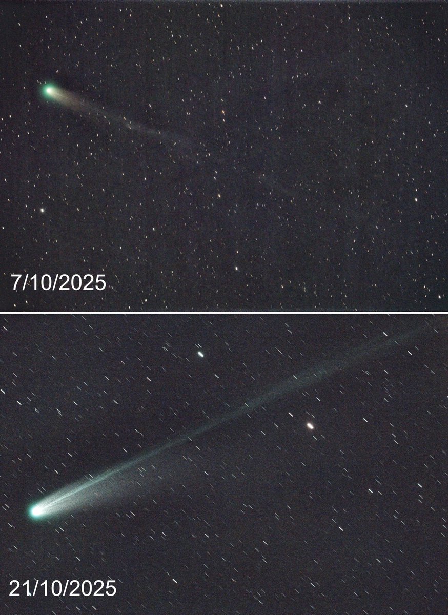 My images show how Comet C/2025 A6 Lemmon has changed in two weeks. As it moves away from us, it should start fading.