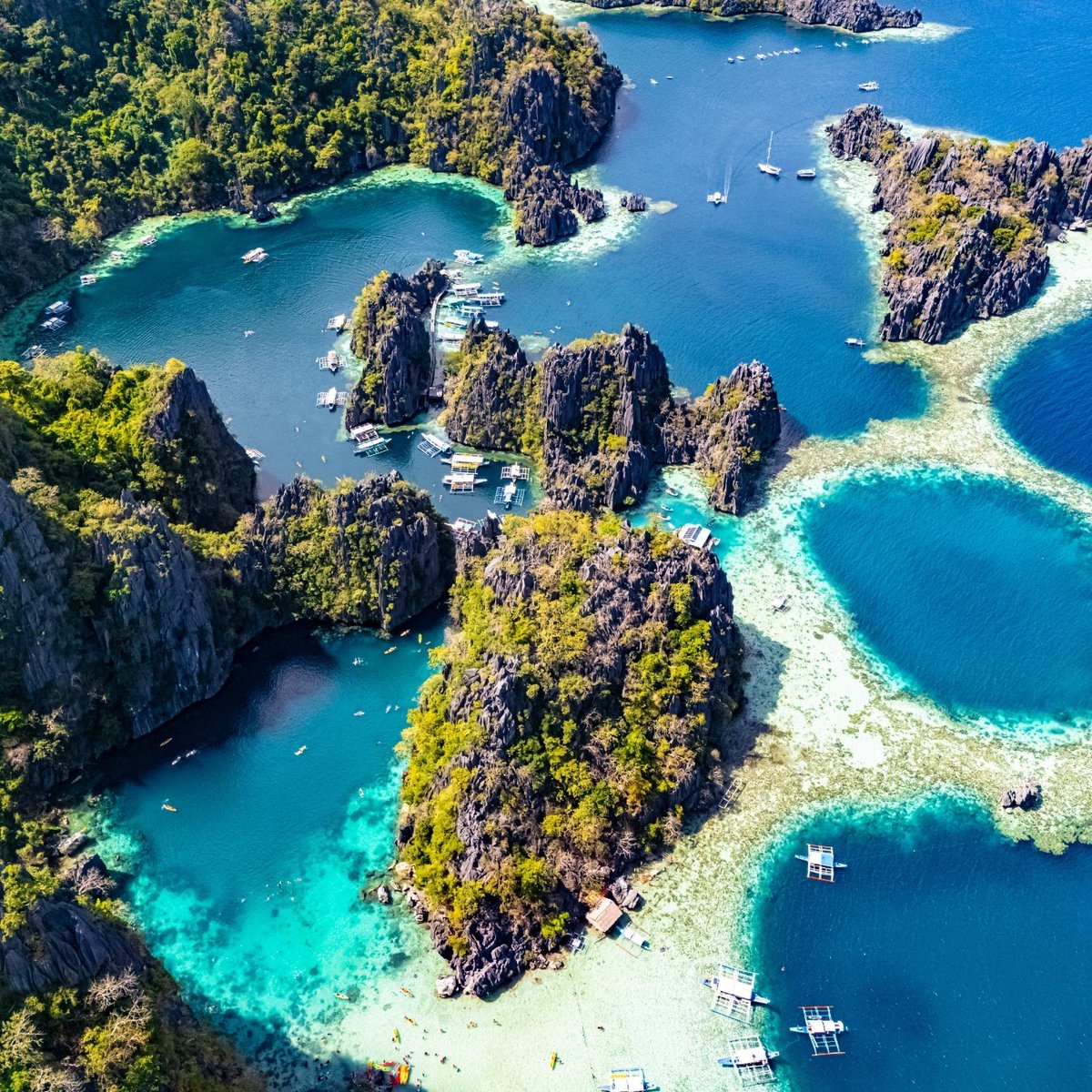 PADI's tweet image. Philippine Paradise Awaits! 🐠
Your adventure starts now! Discover world-class diving on the best liveaboards. ⛴️

🔗 Learn more: blog.padi.com/best-liveaboar…

#PADI #PhilippinesDiving #Liveaboard #DiveTrip #ScubaPhilippines