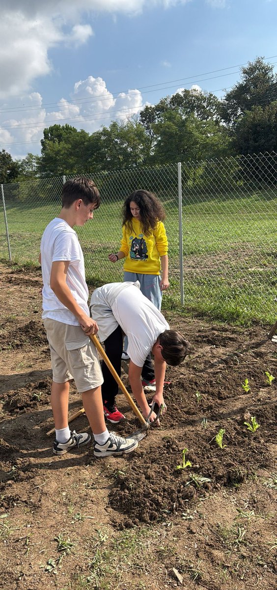 Escaroles, bròquils... 🥦 🥬 Els de servei comunitari d'hort ja els tenen plantats i això fa molt bona pinta! Com veieu, tenim aquests joves ben engrescats i compromesos... Ara ens queda veure si la meteorologia ens acompanya! Creuem dits! #valorsdelPEC #qualitat #collaboració