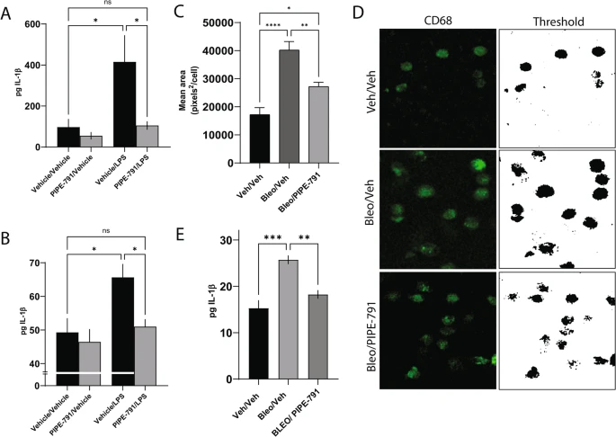 RespiratoryBMC's tweet photo. 📕Article Alert📕

The LPAR1 antagonist, PIPE-791 produces antifibrotic effects in models of lung fibrosis 🫁
#OpenAccess #LungFibrosis #RespiratoryResearch

Read the article: https://t.co/hscCwfuEVr https://t.co/bqsEEXmfCc