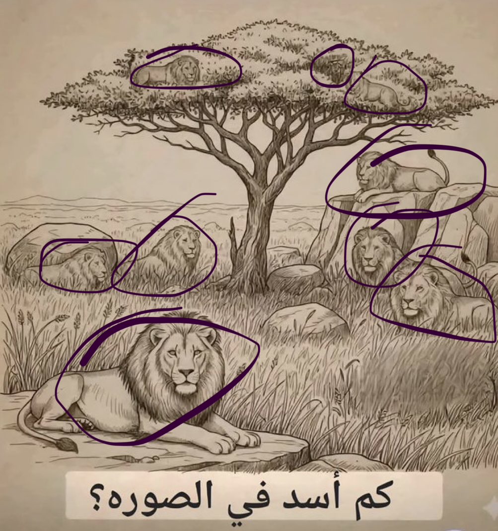 <a href="/kuwx11/">𝑵𝑨𝑺𝑹</a> ٨ اسود 
و شبل واحد