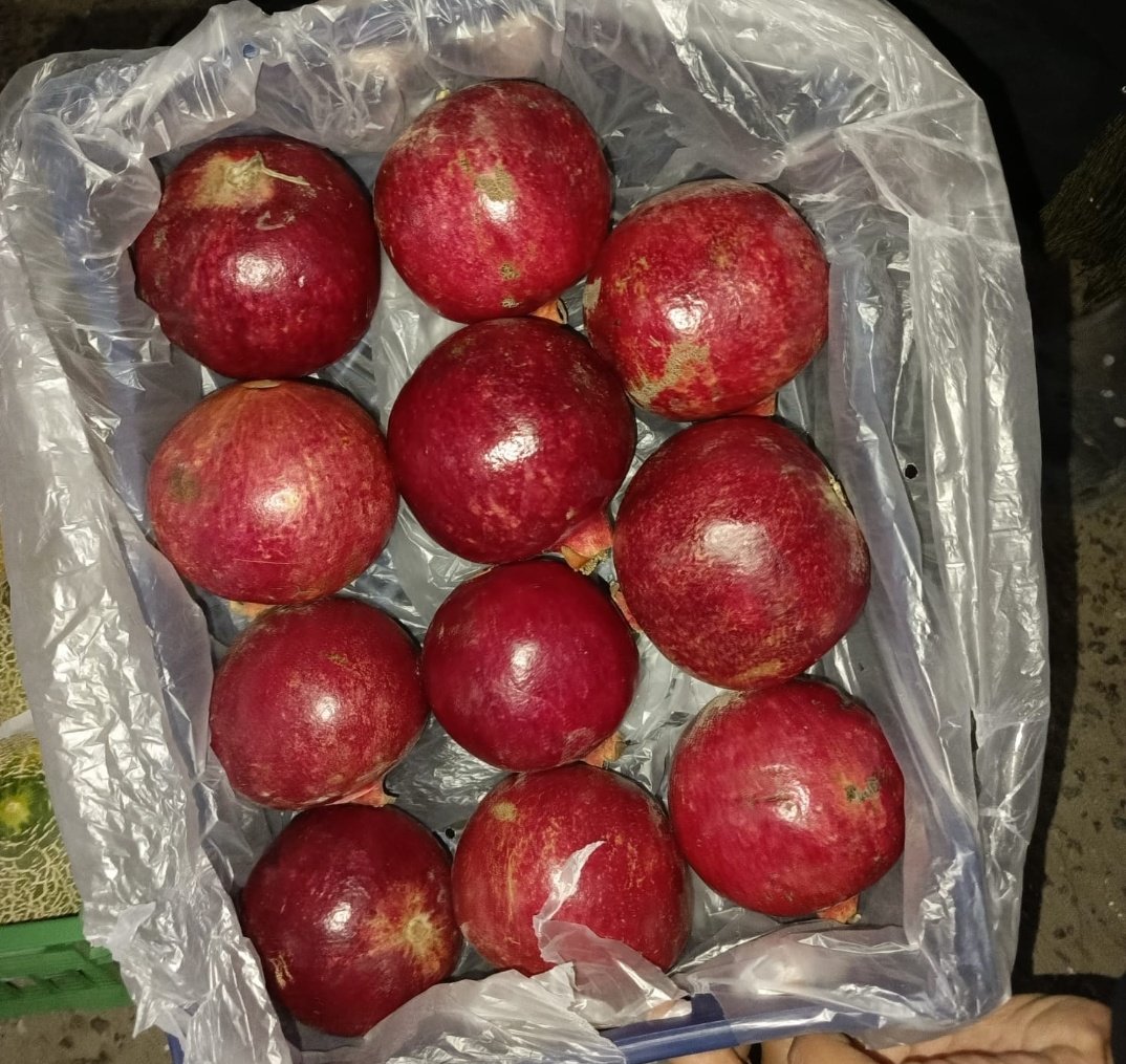 KحA🀄 (@khal3rl) on Twitter photo Dan Girman Allah Help Me Retweet.
I sell cartons of Pomegranates for 70k.
📍delivery nationwide 🚚 Dan Girman Allah Help Me Retweet.
I sell cartons of Pomegranates for 70k.
📍delivery nationwide 🚚