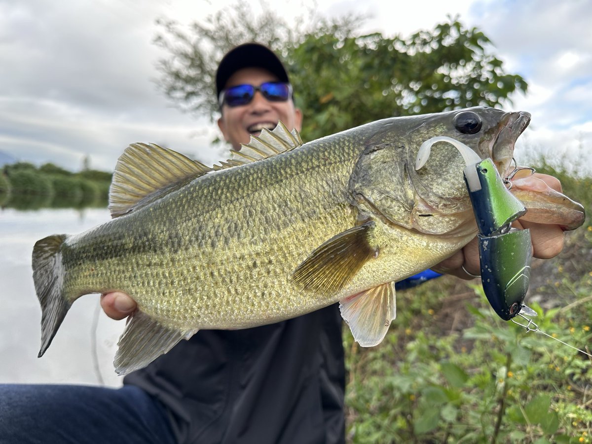 𝐓𝐚𝐫𝐨 𝐌𝐚𝐭𝐬𝐮𝐦𝐨𝐭𝐨 ™️ (@xxtaroxx1975) / Posts / X