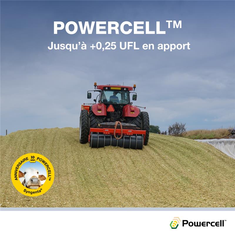 Semences🌽 
POWERCELL™ associe fibres digestibles et amidon pour optimiser l’énergie, avec +0,10 UFL, soit jusqu’à +0,25 UFL de plus que les variétés témoins. 
Plus d'infos :

syngenta.fr/cultures/mais/…