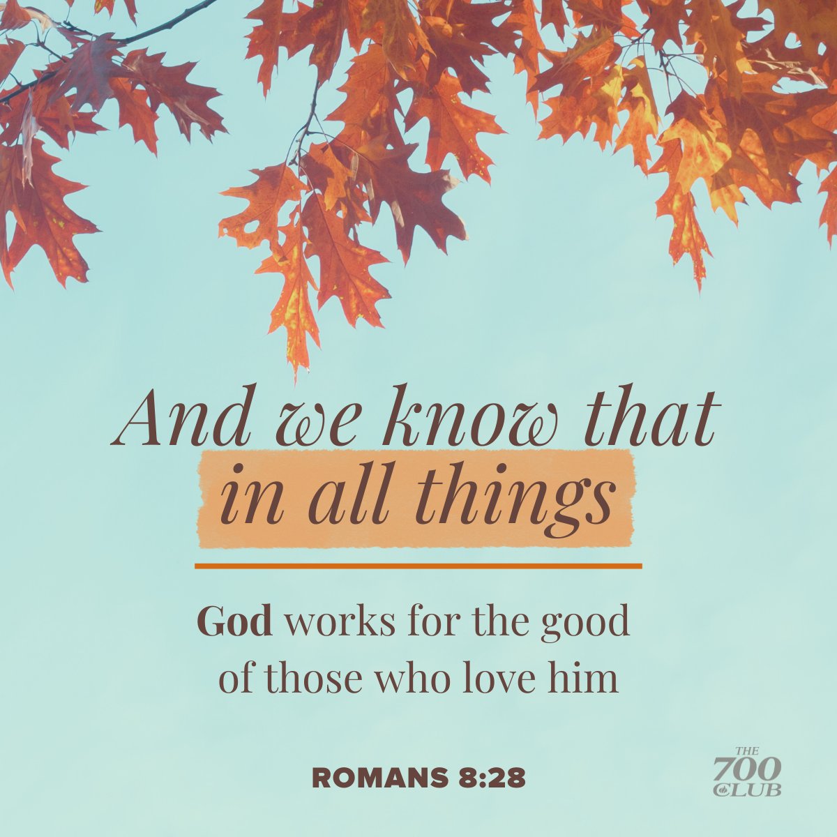 700club's tweet image. He is working on your behalf 💪 🍂
#hope #scripture #godlovesyou #prayer #encouragement #autumn #nature #aesthetic