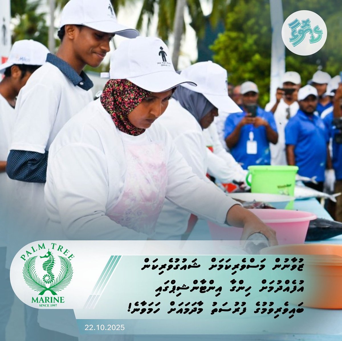 ޒުވާނުން މަސްވެރިކަމަށް ޝައުގުވެރިކަން އުފެއްދުމަށް ހިންގާ އިންޓާންޝިޕްގައި ބައިވެރިވުމުގެ ފުރުސަތު މާދަމައަށް ހަމަވާނެ
keyolha.com/news/7939/