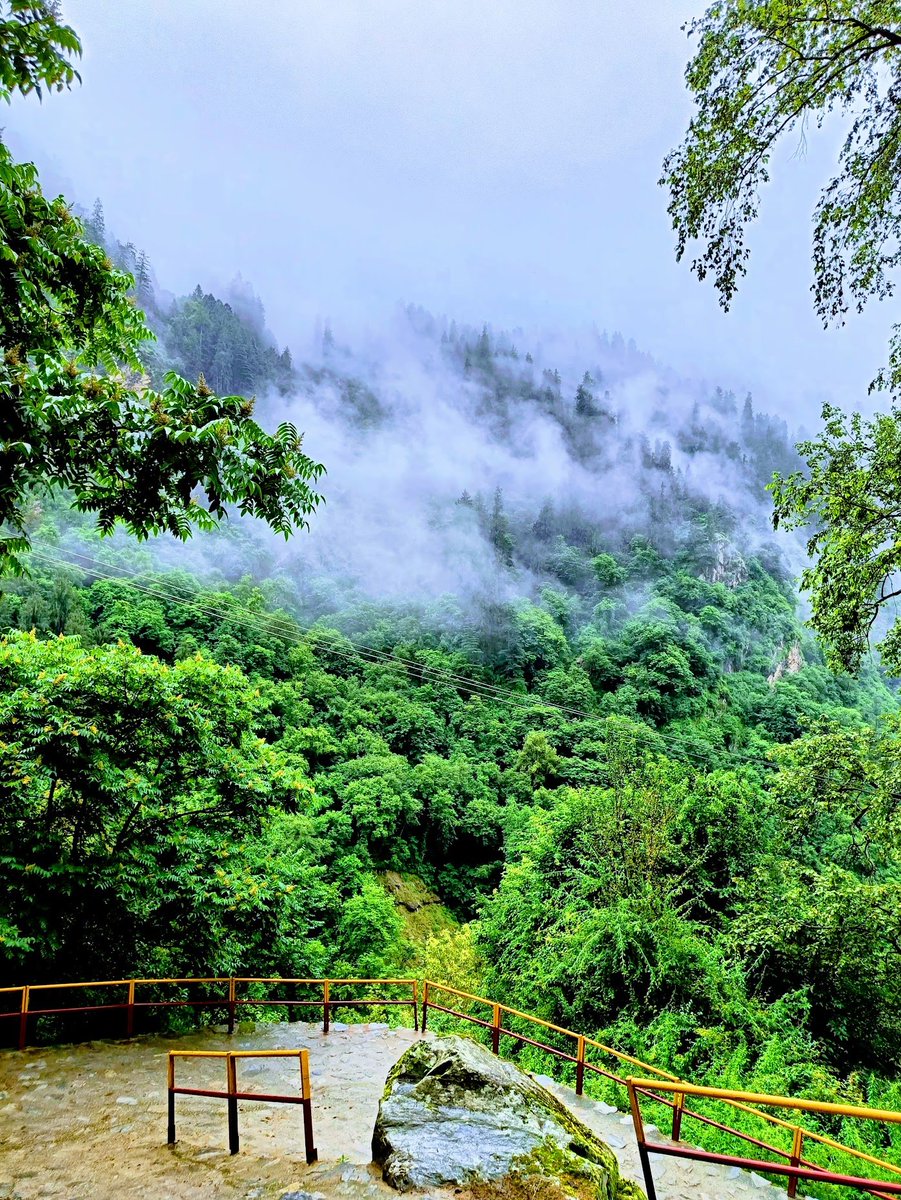 mskhirwar's tweet photo. It’s #WoodyWednesday! 🌳🌲🌴🍃
Drop your woody🌲🌴🌳
#nature #unexplored #mountains #theme_pic_India_nature https://t.co/sLdaiMLvIP