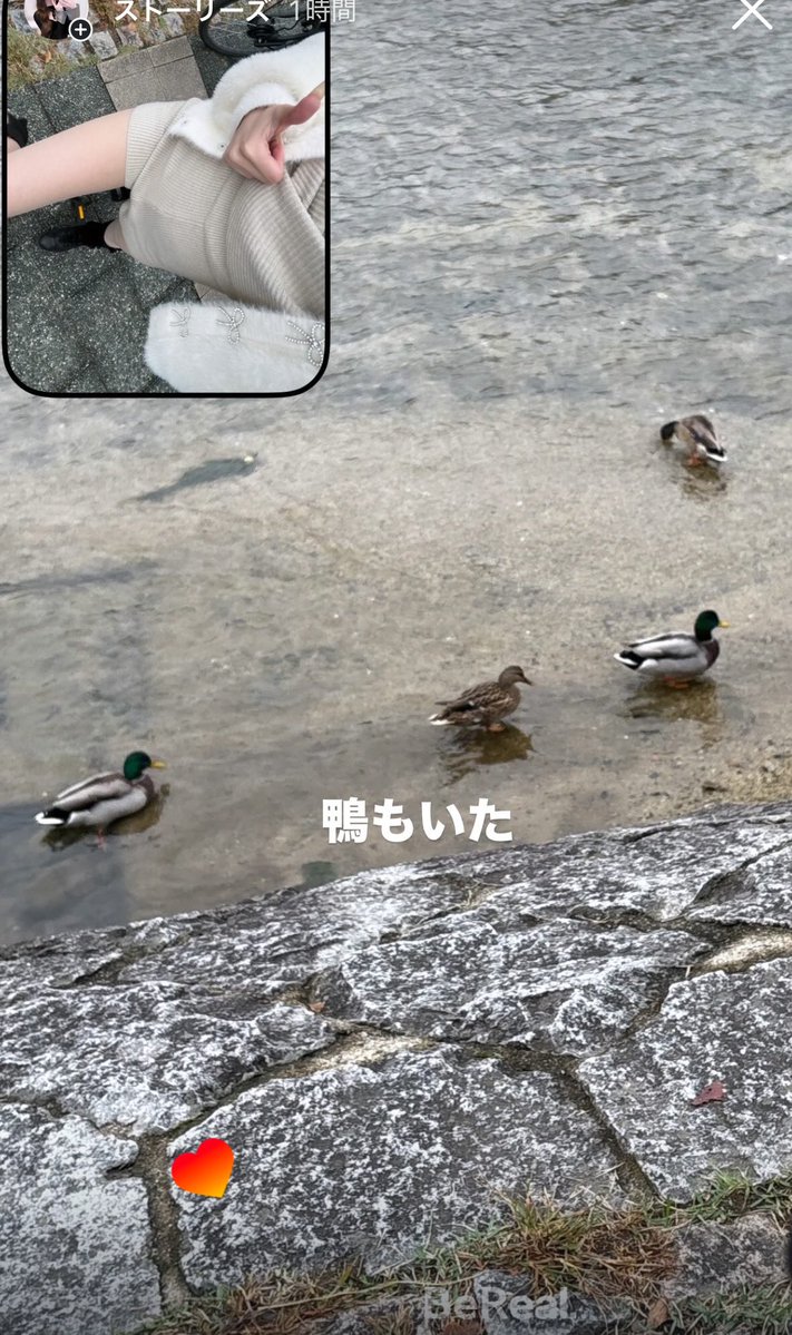 ホビ垢の京都旅行(=・ω・）タクシー辞めてチャリ借りるようになってから旅行全部楽しい