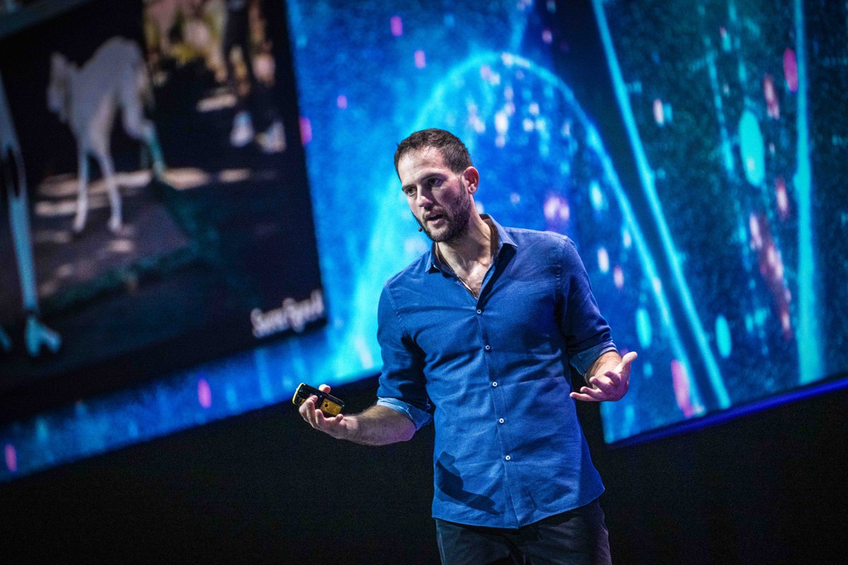 Singularity South Africa tweet media