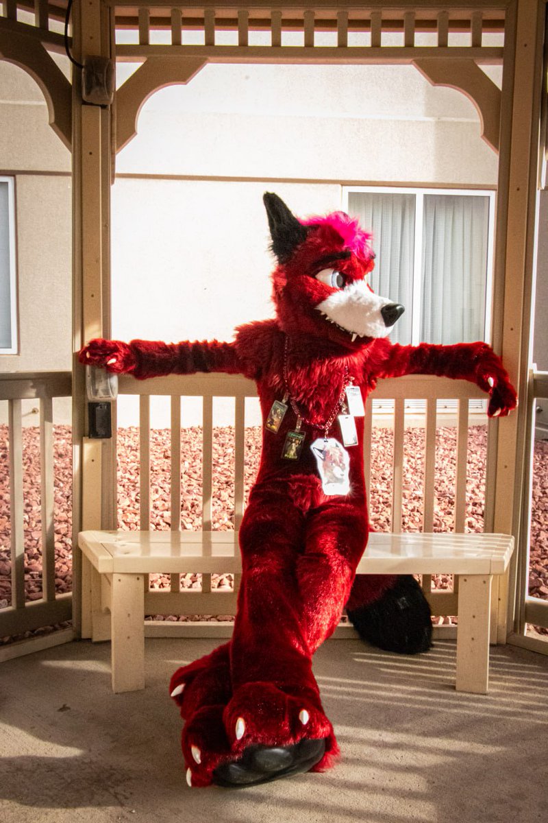 Enjoying the nice day and watching the sunset beautiful
#WaggeryWednesday
📸 <a href="/Pengo_the_otter/">Pengo 💚🖤💛 🔞</a>