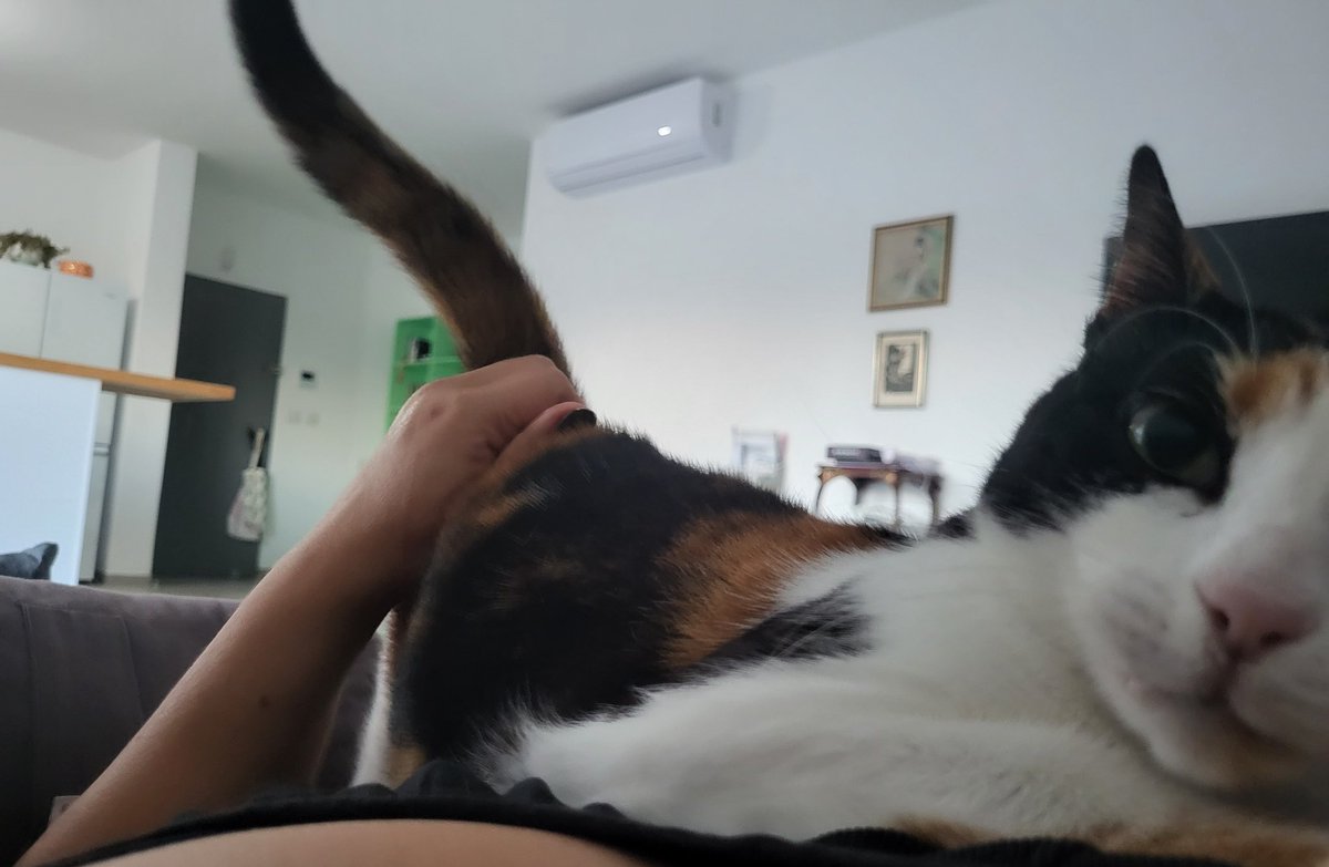 spaghetti_ts tweet media