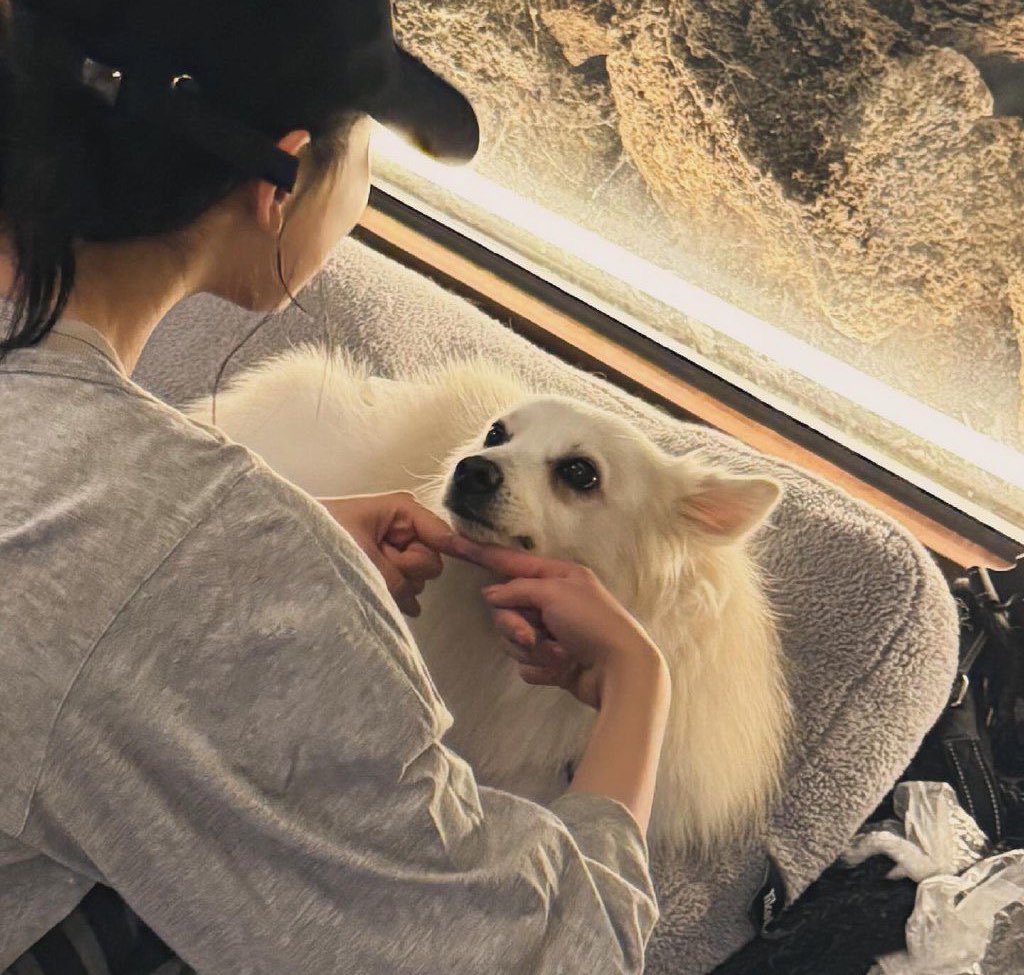 1023archives's tweet photo. she doesn’t need to say she’s kind,  the way animals trust her says it all 🥹

NINGNING IS THE MAKNAE DAY
#StunNING_23rd_BDAY
#닝구리퐁퐁_마이야호가_지켜줄게 https://t.co/Ok5st87lOW