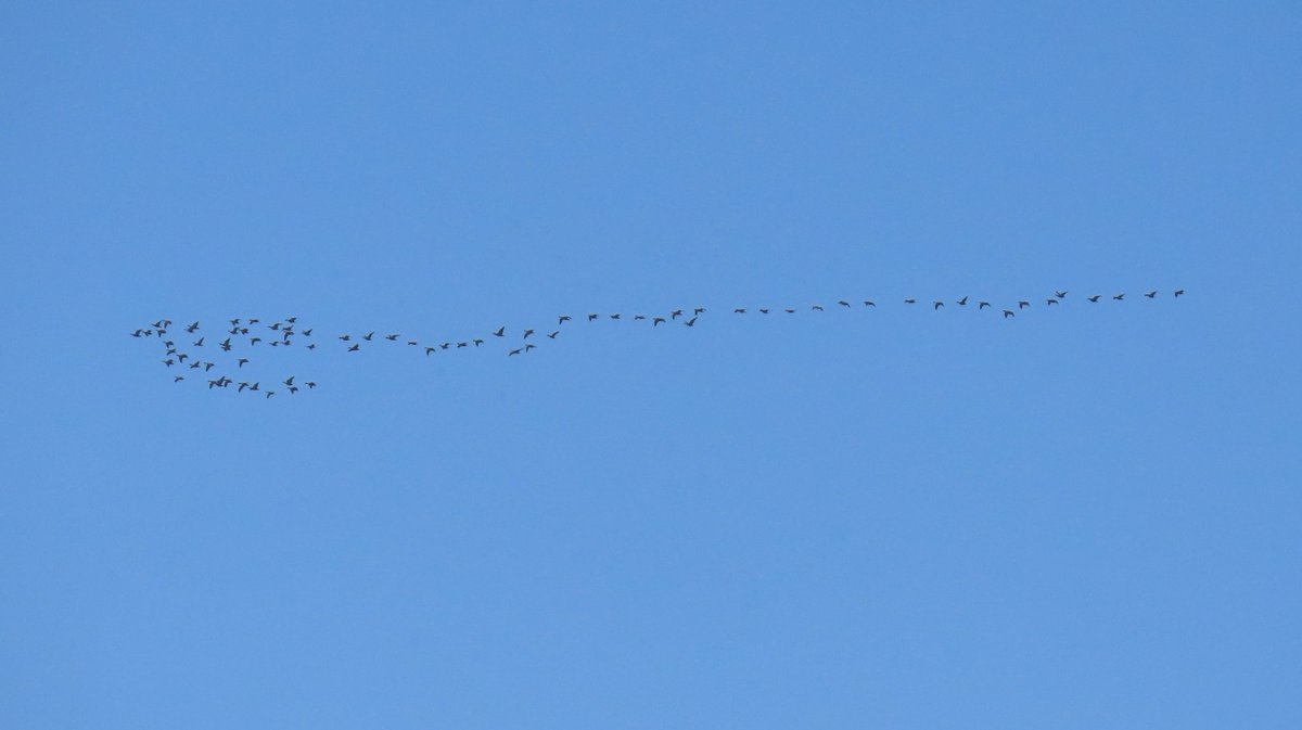 Joe Eckersley tweet media