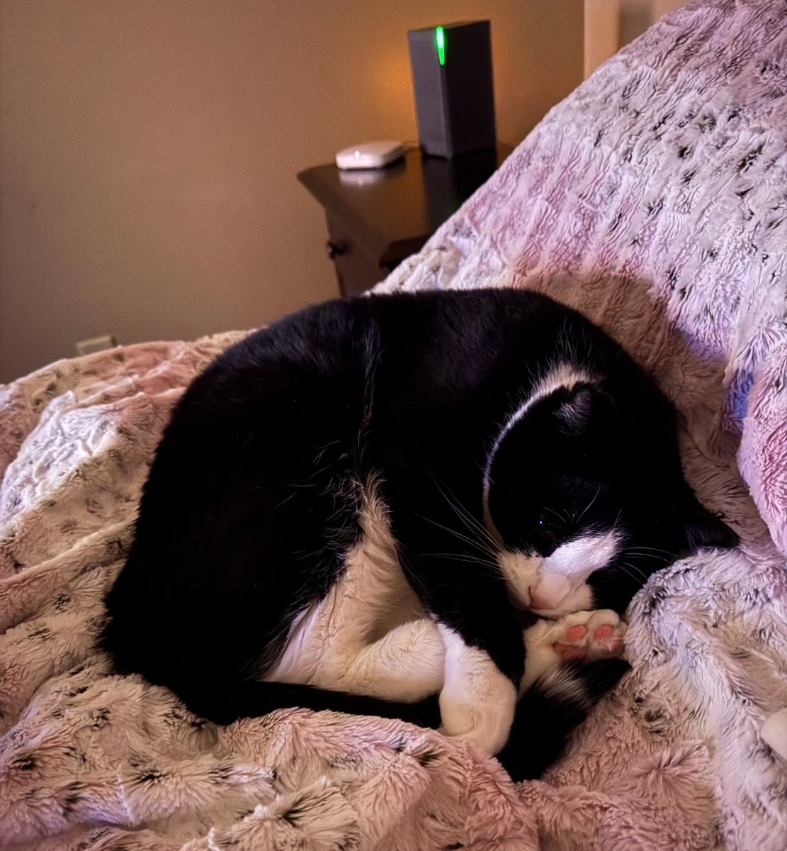 Wondering when we are all going to just put out a notarized financial statement. 🤔🙄

Some of you dipsh*ts that think money buys happiness, good luck. The main Corolla brings it up most.

Happiness is when you have peace, love, friends, pets, companionship, &amp; believing there’s