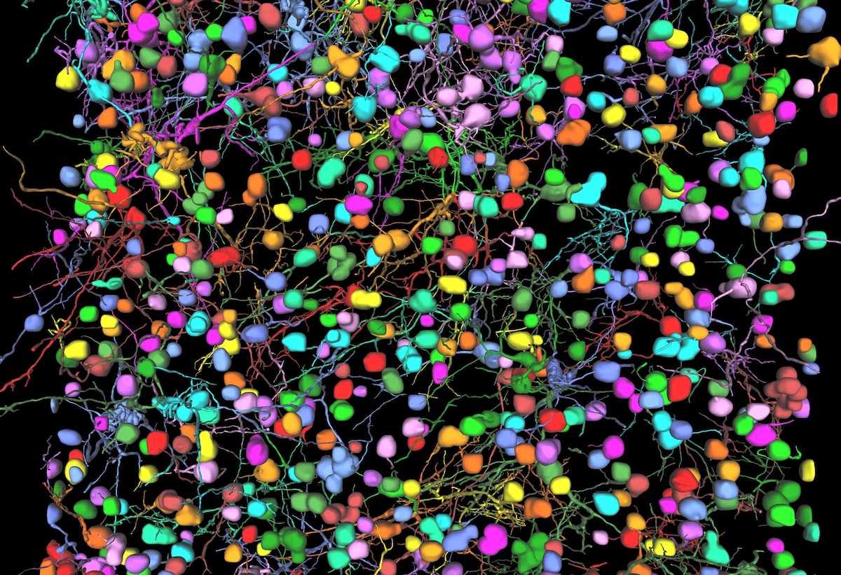 Lab Bulletin - Microscopy &amp; Image Analysis Newsletter October 2025 - mailchi.mp/labbulletin/mi…