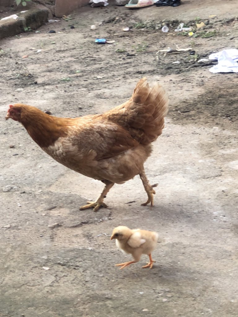 Hardest pics of the day 🦅