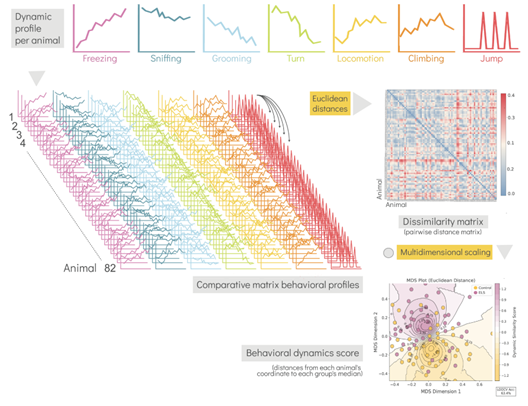 Jeniffer Sanguino Gómez tweet media