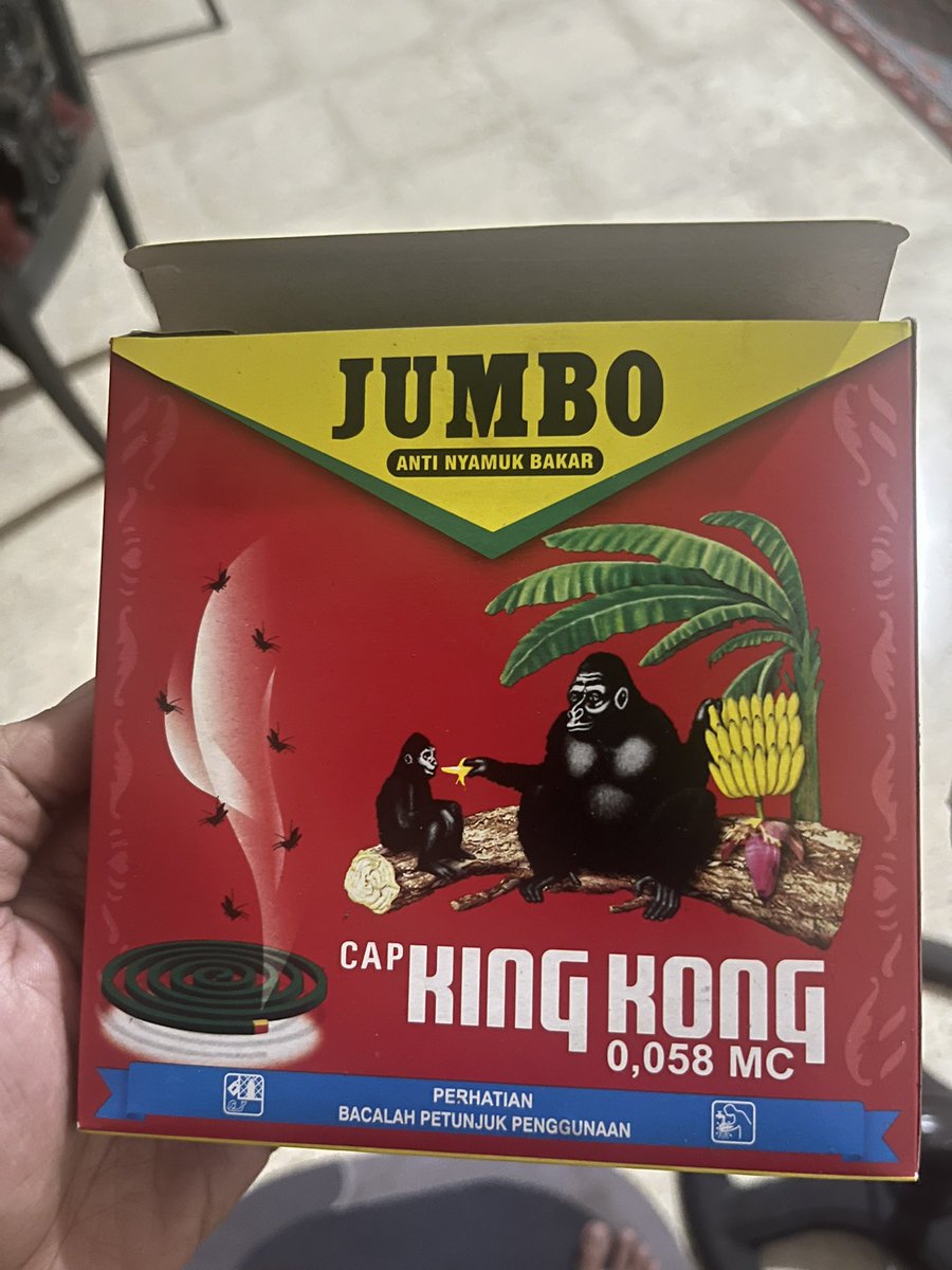 reyhan 🍉 tweet media