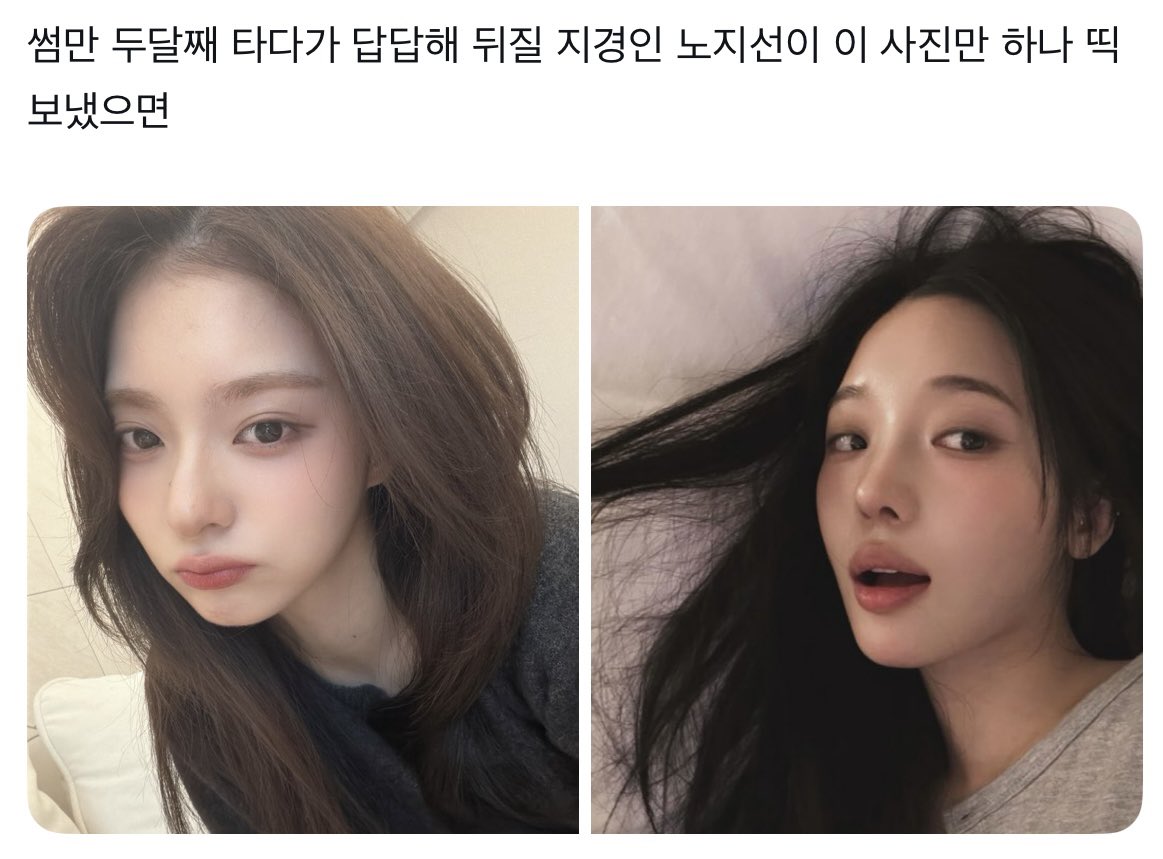 _belluga_124's tweet image. 옆집 경노