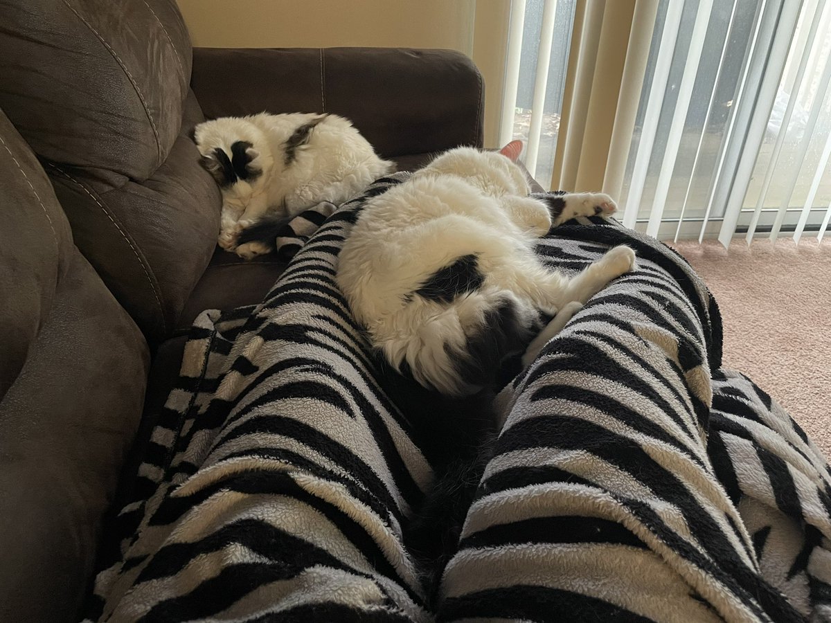 Felt spicy so here’s a thigh pic 😜✨