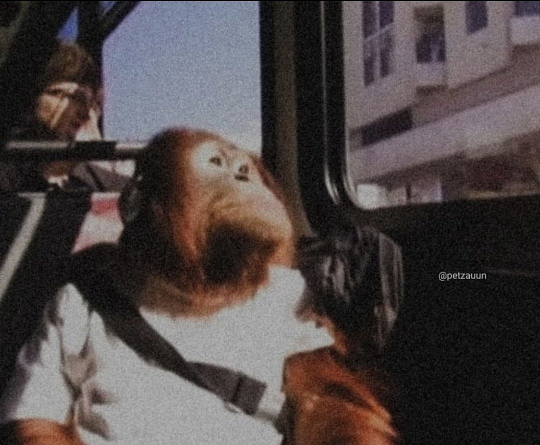 disfarcedele's tweet photo. Zuada do carai esses adolescentes no ônibus 
Vai ser lindo quando eu me arretar e dar dois gritos https://t.co/8gLMpIWEfN