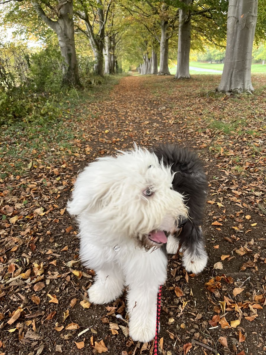 A valid effort for #WontLookWednesday! 👀