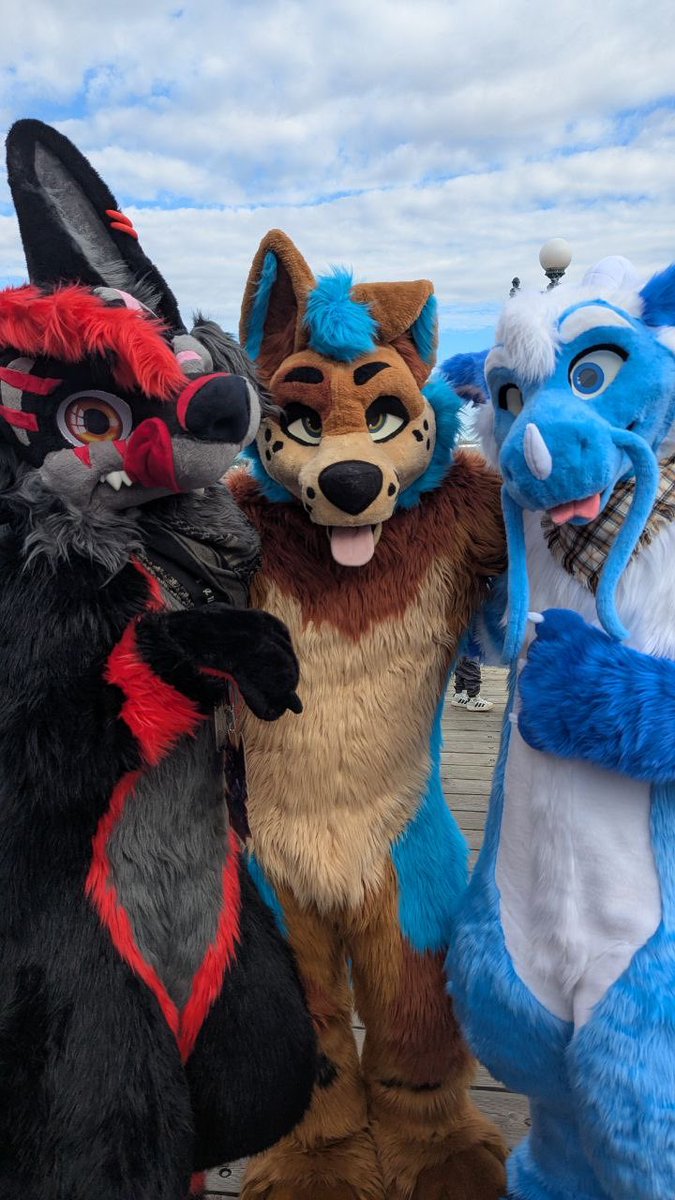ℕ𝕀𝕋ℝ𝕆 🇨🇦🐾 tweet media