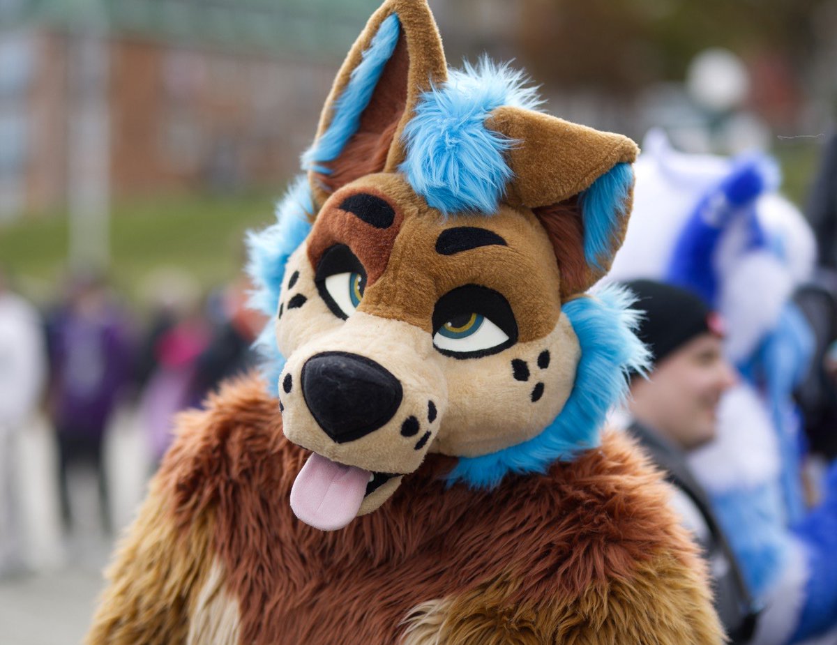 ℕ𝕀𝕋ℝ𝕆 🇨🇦🐾 tweet media