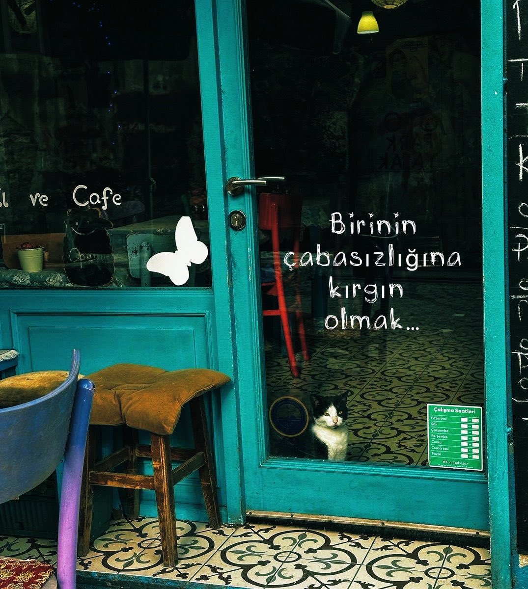 Voice News (@voicexnews) on Twitter photo 