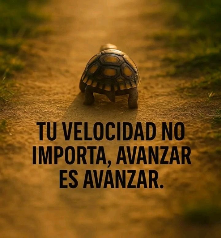 Disciplina (@eligedisciplina) on Twitter photo 