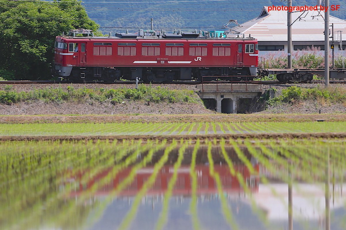 sf272's tweet photo. "1000番台だからパス"と言わずに撮影した自分を褒めたい
#1019の日 #1019号機の日 #1020の日 #1020号機の日 #1021の日 #1021号機の日 #1022の日 #1022号機の日 https://t.co/vaGGDi4wdD