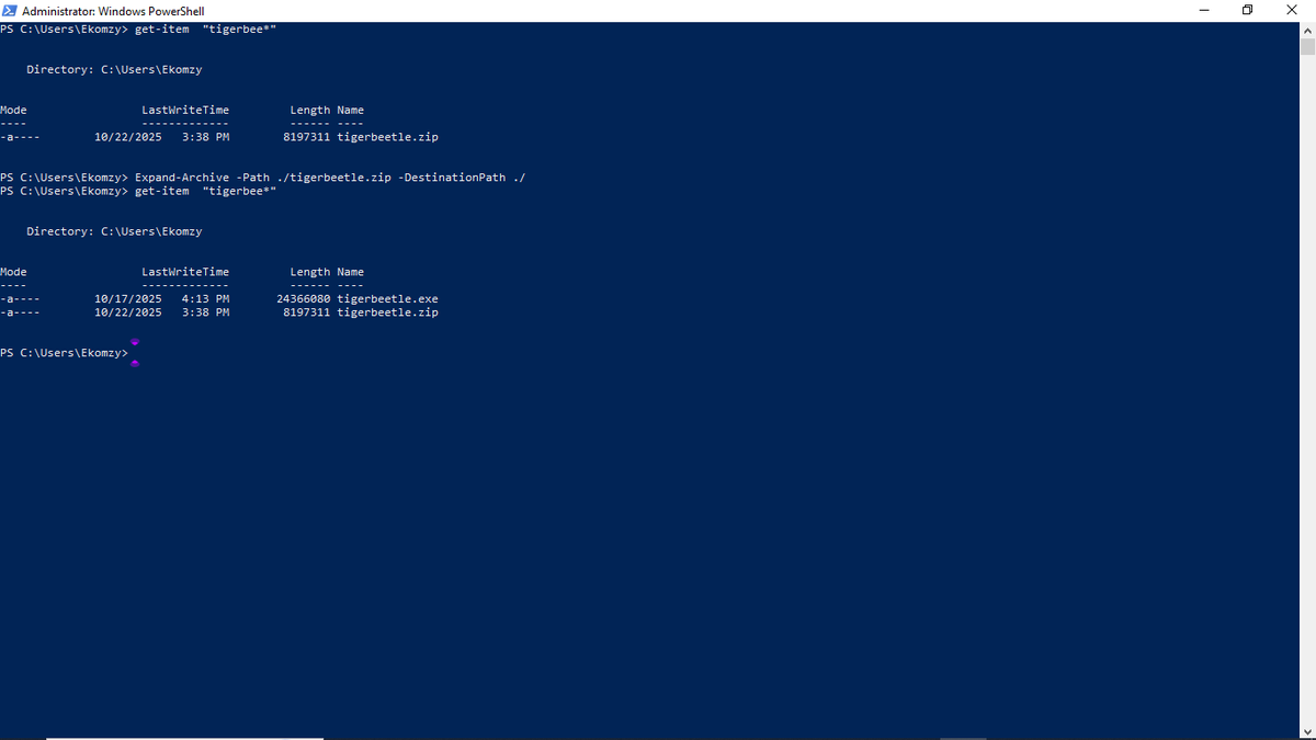 EkomUkanga's tweet image. Installing @TigerBeetleDB on Windows with PowerShell! Feels awesome😎!