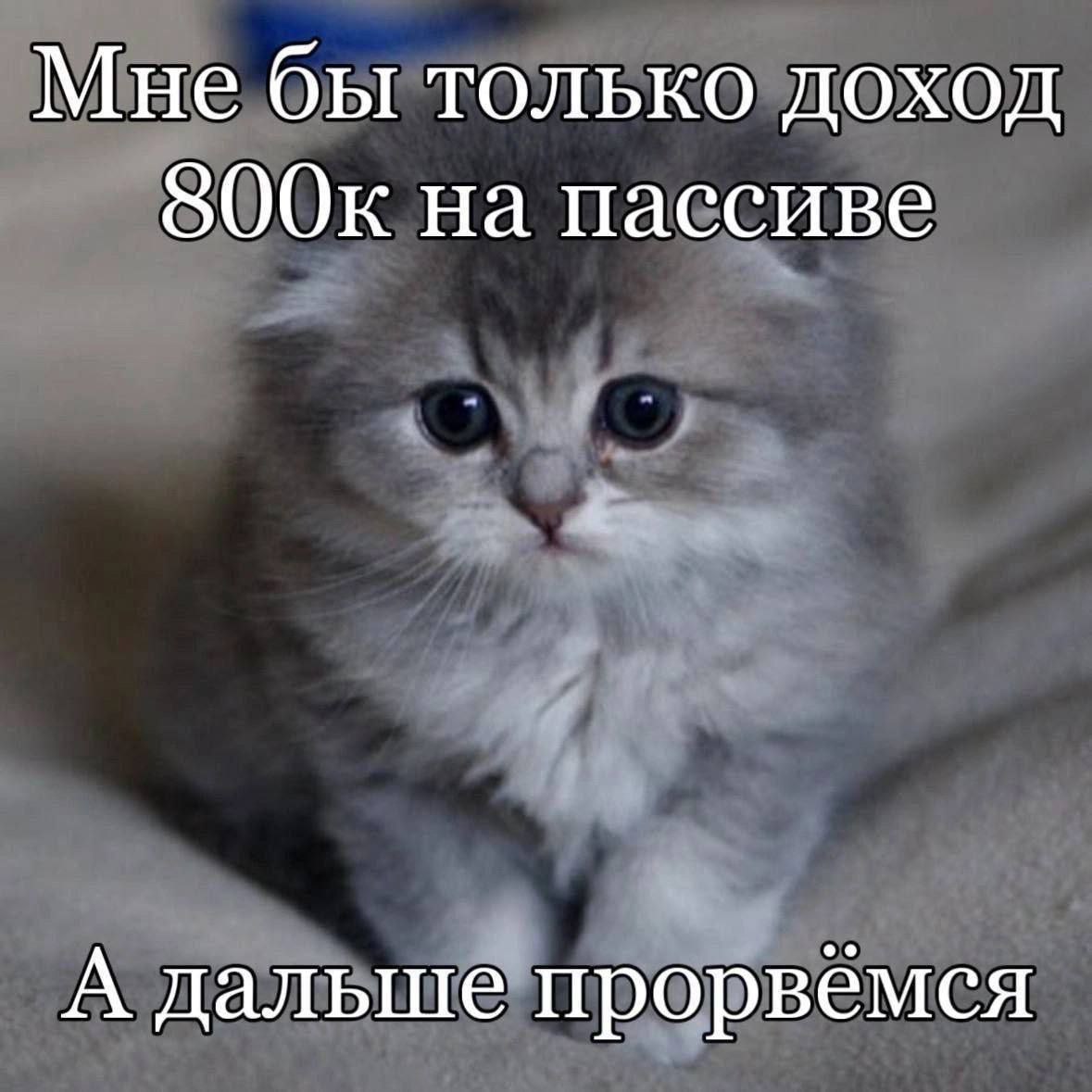 catsilcats's tweet photo. https://t.co/PVP1jFimci