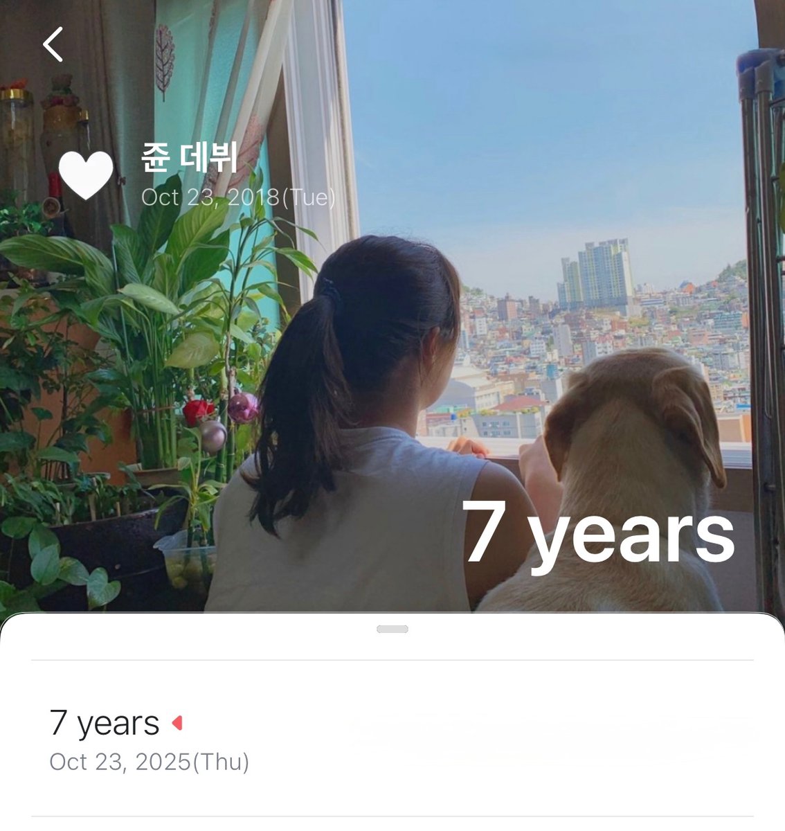 정지윤 프로데뷔 7주년 추카해🥳
