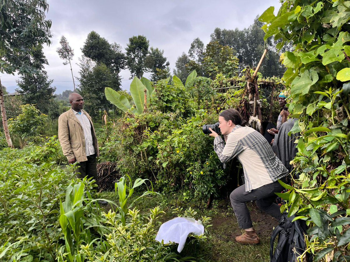 #StorytellingImpact EP 4| Musanze district
On today's episode, let's take a trip to Musanze💃

Today’s story is Julienne’s, who resides in Kinigi Sector. Julienne joined #NAR's Spaces for Peace. under the Peacebuilding pillar, seeking healing and a way to rebuild her life. After