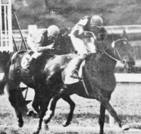 Jose Luis D'Angelo Durán tweet media