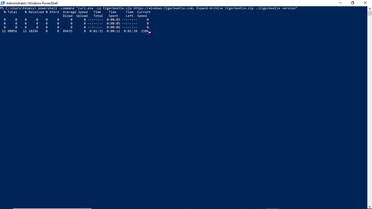 EkomUkanga's tweet image. Installing @TigerBeetleDB on Windows with PowerShell! Feels awesome😎!