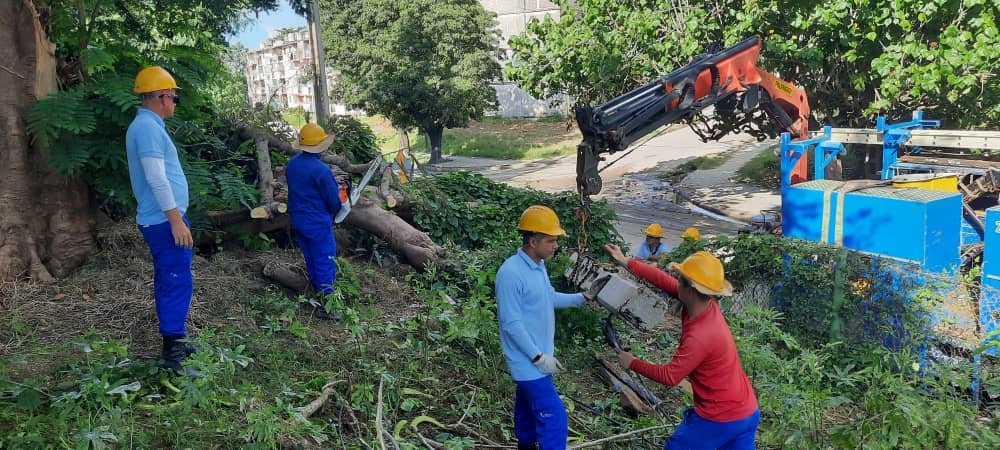 Nuestras brigadas 💪 en el trabajo de poda 🌲en el Reparto Pueblo Griffo
#EtecsaConCuba 
<a href="/MiguelASurezSa2/">Miguel A. Suárez Sabina</a> <a href="/Irenaldo5/">Irenaldo Cruz Lopez</a>