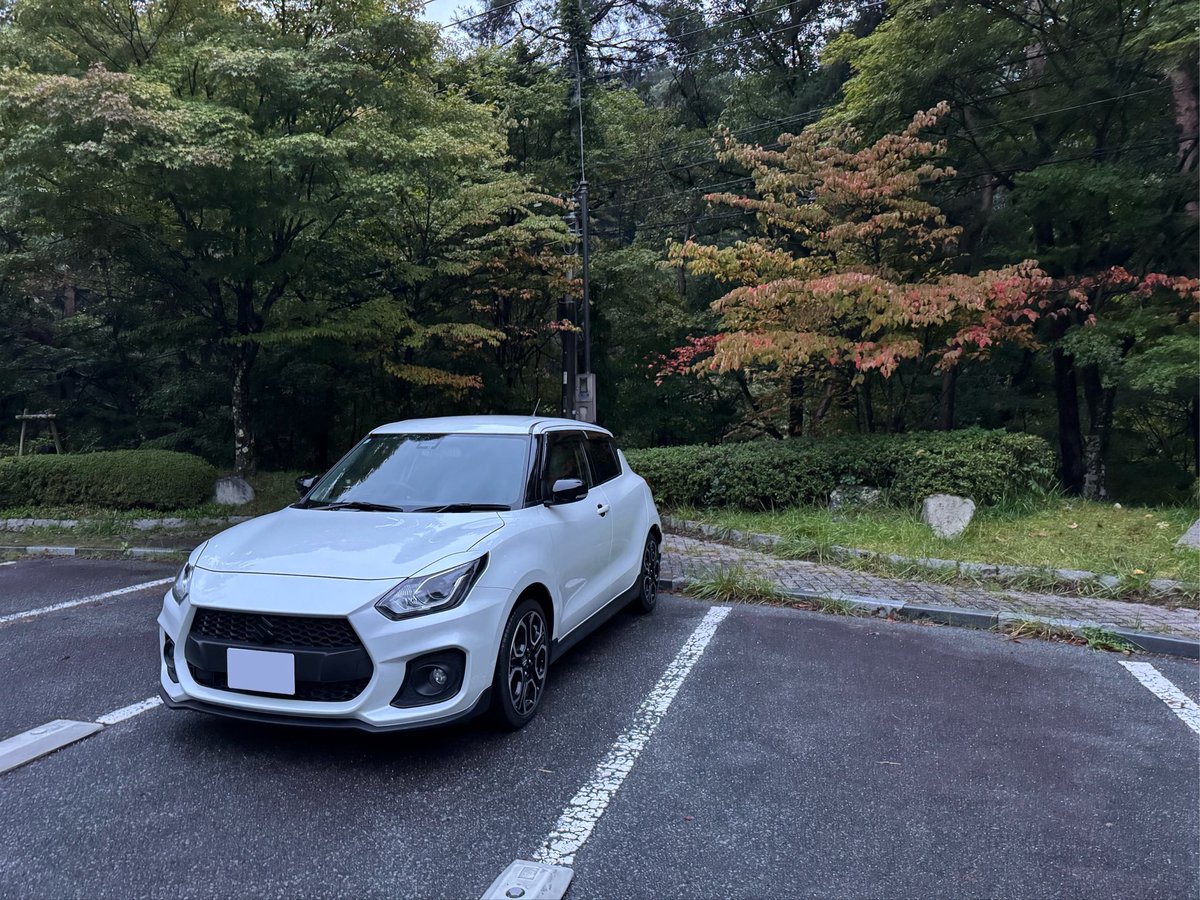 swift_normal tweet picture
