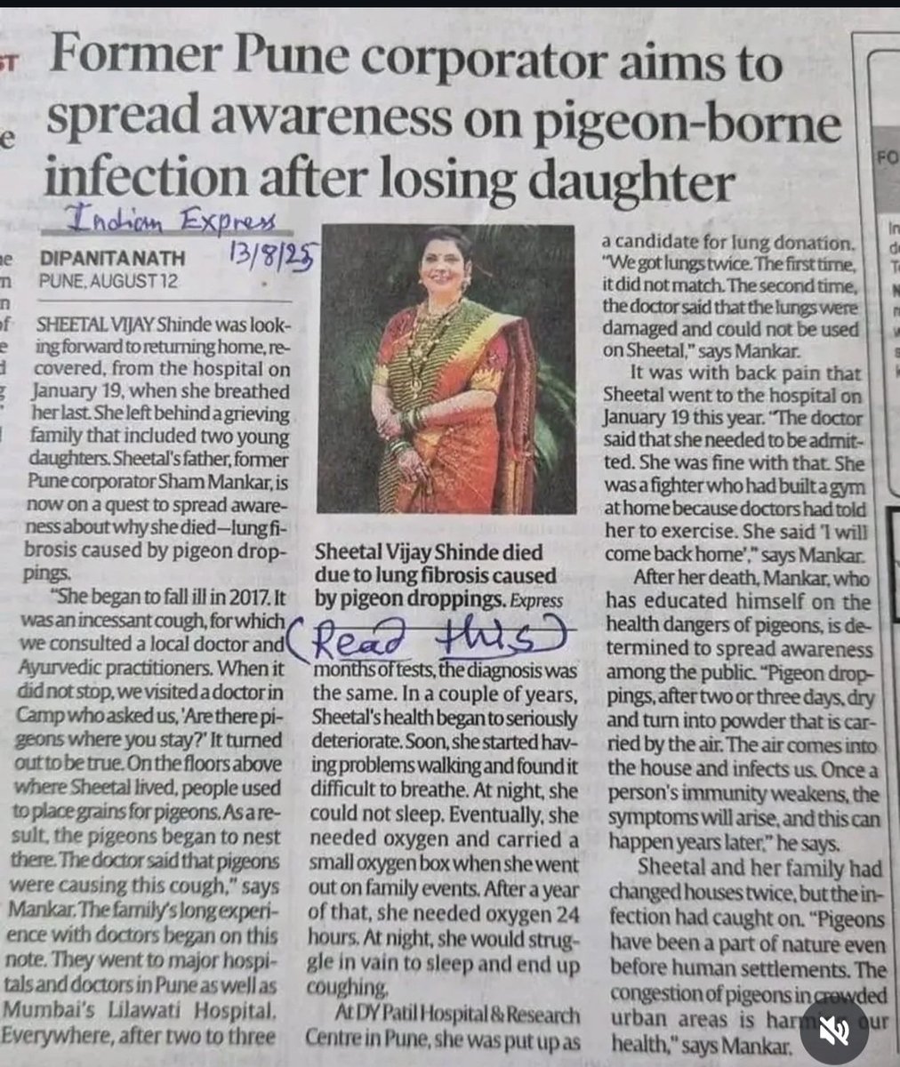JVS5151's tweet photo. @mihirkotecha when will the mulund east west flyover pigeon issue get solved... Are we waiting for a disaster. https://t.co/NIxNoXXNLD