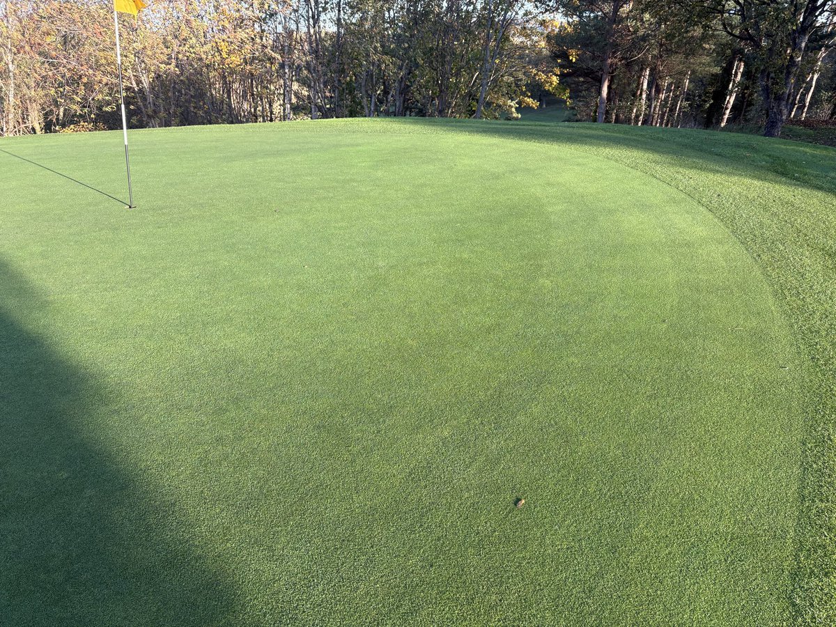 Ryan Beck tweet media