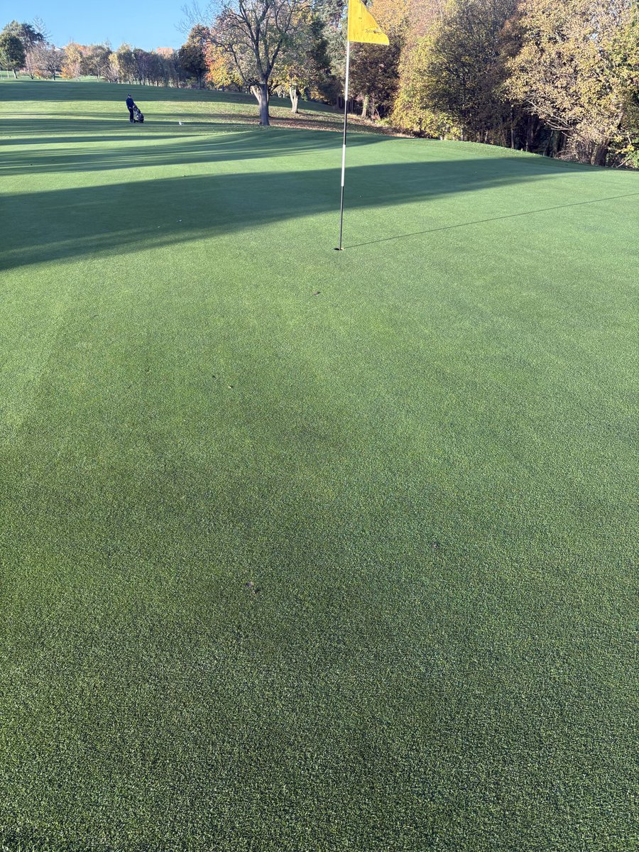 Ryan Beck tweet media