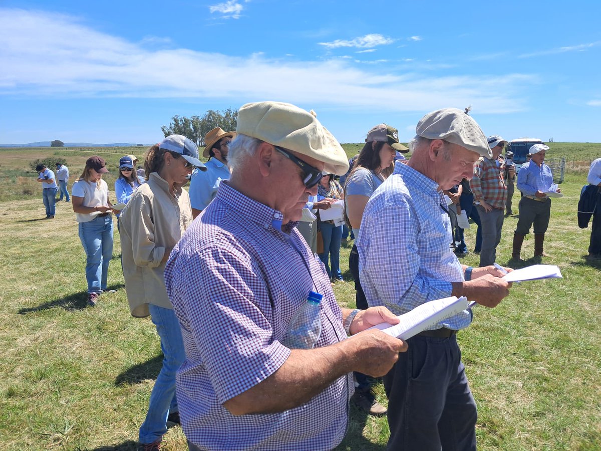 ⭐INIA presenta por primera vez en público un experimento de largo plazo instalado en 2021 en la Unidad de Palo a Pique que, durante 30 años, evaluará los efectos de distintos niveles de pastoreo ovino sobre campo natural, y su impacto en la productividad y huella ambiental.