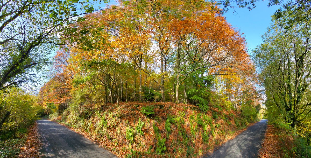 180* panoramic of the country lane that runs alongside Talybont Reservoir in Bannau Brycheiniog - <a href="/VisitBeacons/">Visit Brecon Beacons Bannau Brycheiniog</a> <a href="/VisitMerthyr/">Visit Merthyr</a> #autumn #autumncolours <a href="/PanoPhotos/">Panoramas 📸📱</a>