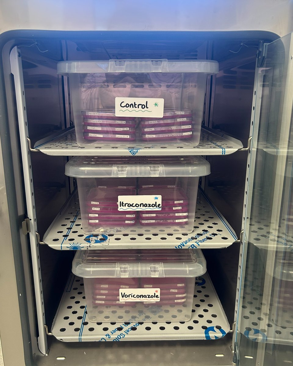 SporeWatchIreland tweet media