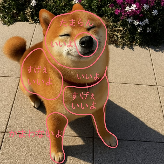 MemeCooksx's tweet photo. Boop the nose
#touchmap https://t.co/hALKMh8HLZ