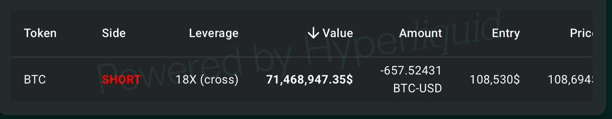 Screenshot of another whale's Bitcoin short position