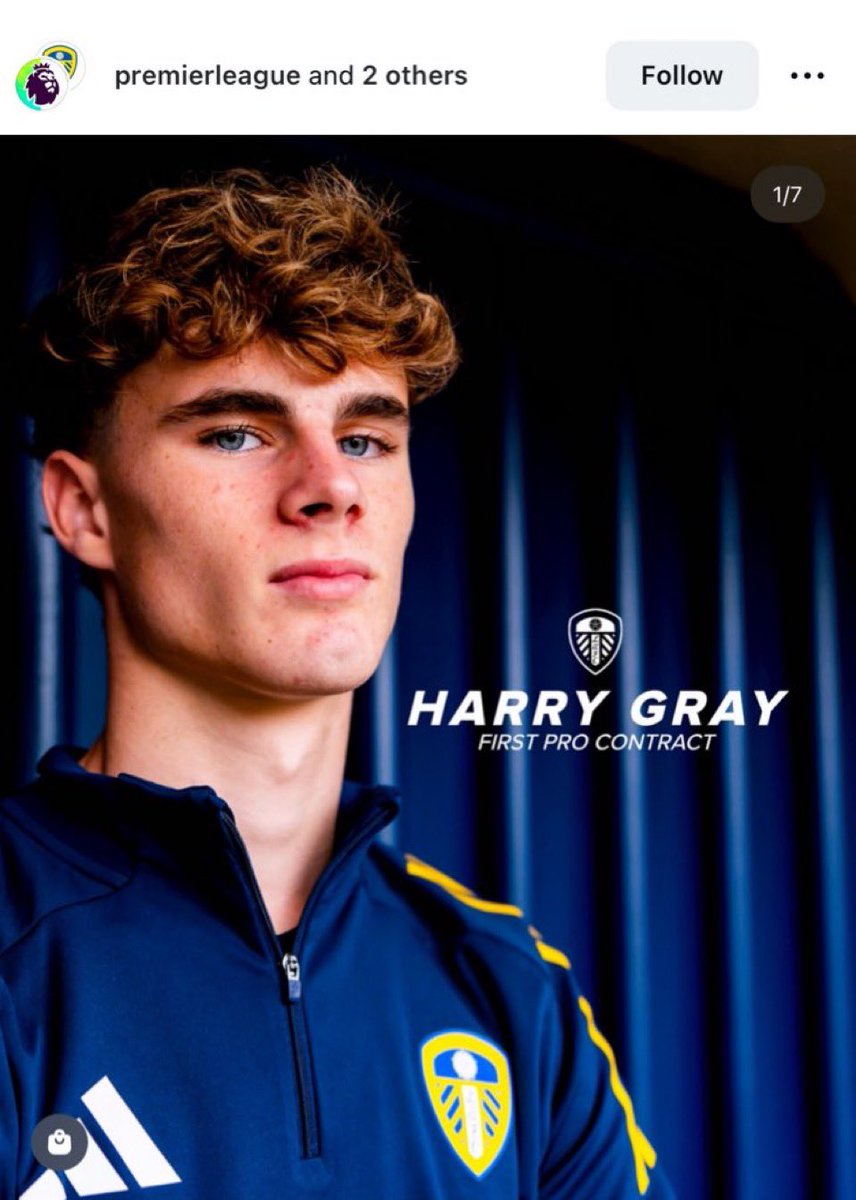 Apollo🇯🇲 tweet media